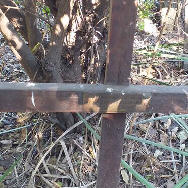 BRACEGIRDLE Barbara 1982-1994