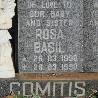 COMITIS Rosa Basil 1990-1990