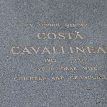 CAVALLINEAS Costa 1915-1977