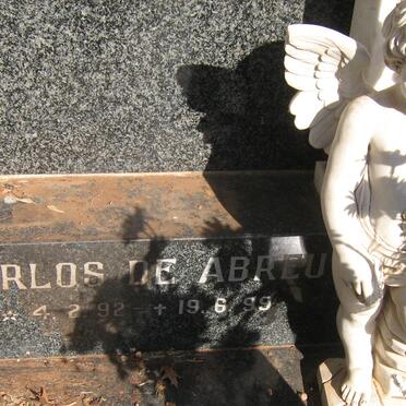 CARDOSO Carlos de Abreu 1992-1999