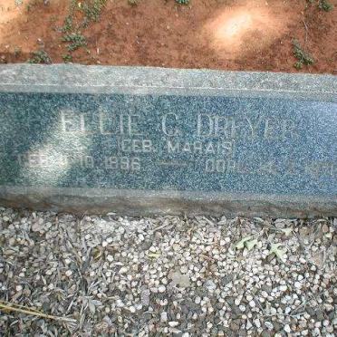 DREYER Ellie C. nee MARAIS 1896-