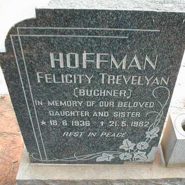 HOFFMAN Felicity Trevelyan nee BUCHNER 1936-1962