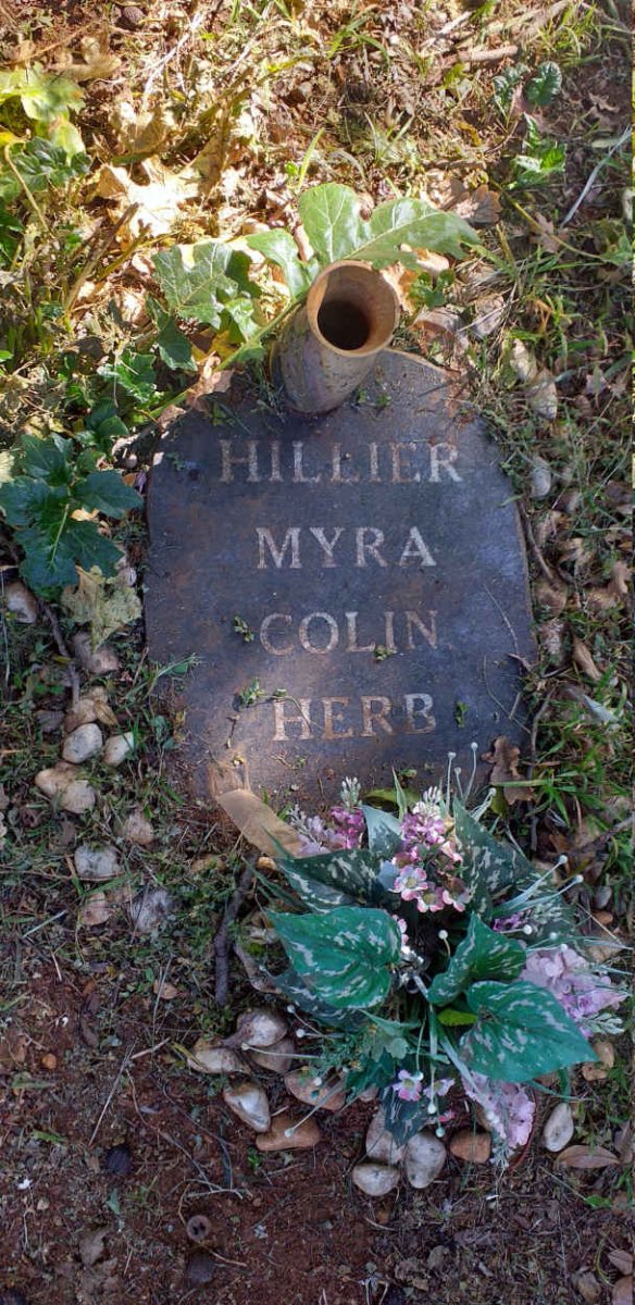 HILLIER Myra :: HILLIER Colin :: HILLIER Herb
