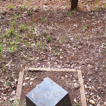 LUBBE Hendrik Johannes 1915-1997 _1