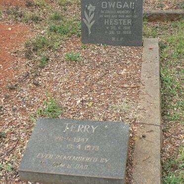 OWGAN Hester 1919-1966 :: OWGAN Terry 1947-1973