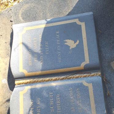 SCHUIT Harry 1985-2018