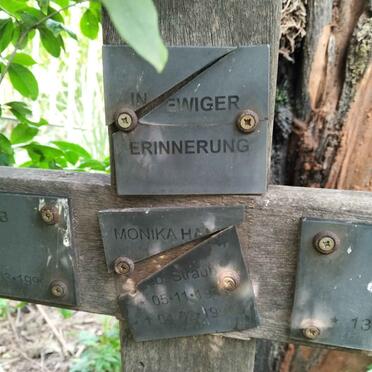 S - Surnames :: Vanne - S