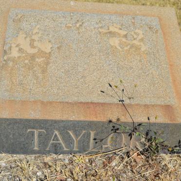 TAYLOR