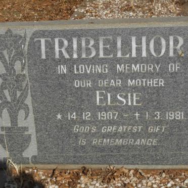 TRIBELHORN Elsie 1907-1981