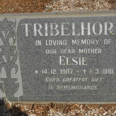 TRIBELHORN Elsie 1907-1981