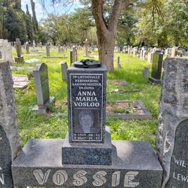 V - Vanne :: Surnames - V