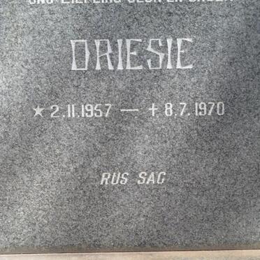 WRIGHT Driesie 1957-1970