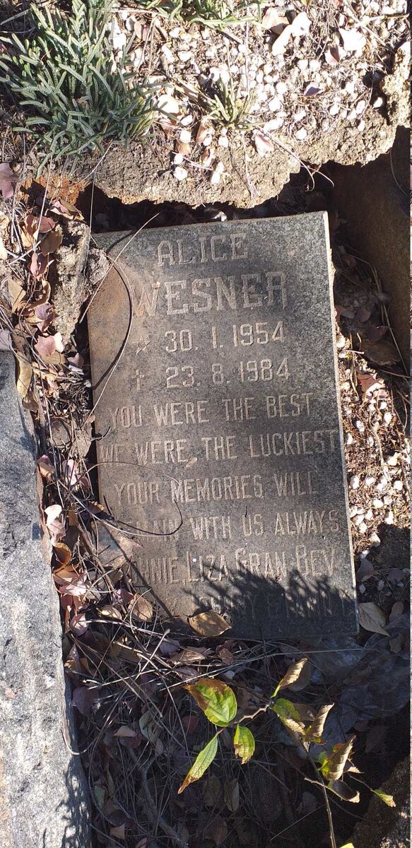 WESNER Alice 1954-1984