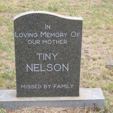 NELSON Tiny
