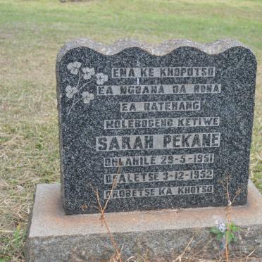 PEKANE Sarah 1951-1952