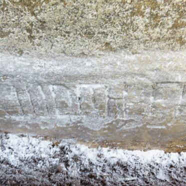 STEYN Judith Francis Tladi 1954-1956