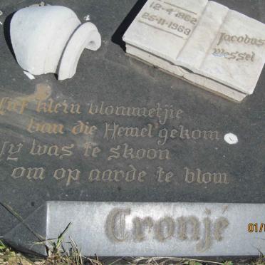CRONJE Jacobus Wessel 1962-1963