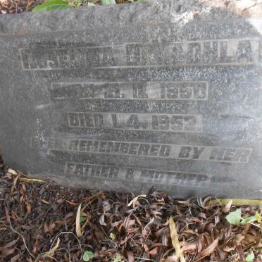 DHLADHLA Roselina 1950-1952