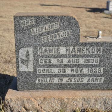 HANEKOM Dawie 1936-1939