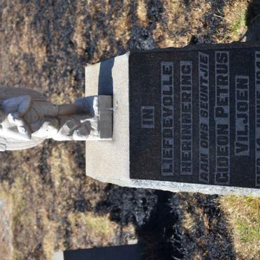 VILJOEN Gideon Petrus 1941-1941