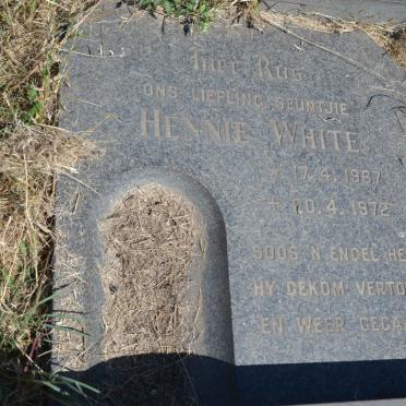 WHITE Hennie 1967-1972