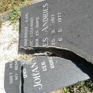 ? Johannes Andries 1917-1977