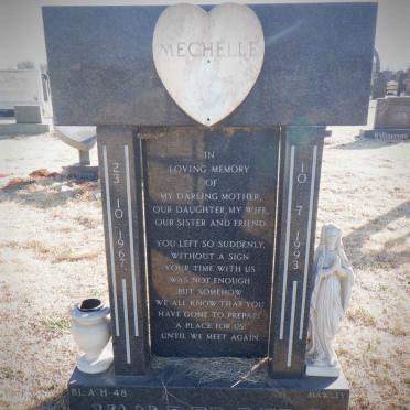 BERG Mechelle, van der 1967-1993