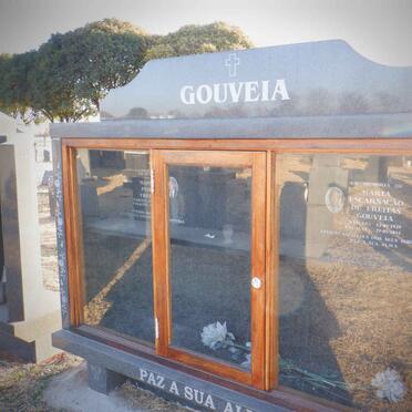 FREITAS Manuel Pedro 1921-2009 :: GOUVEIA Maria Encarnacao De Freitas 1929-2014