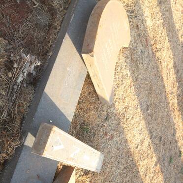 SINA Boy Abel 1940-1999