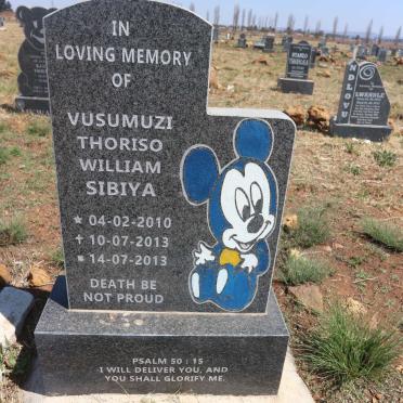 SIBAYA Vusumuzi Thoriso William 2010-2013