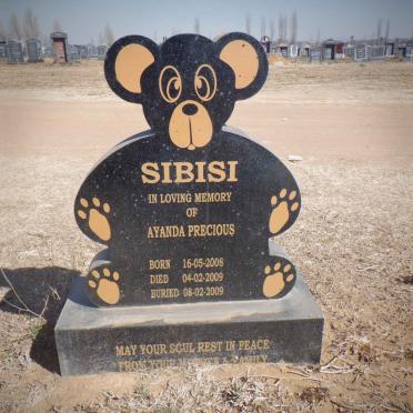 SIBISI Ayanda Precious 2008-2009
