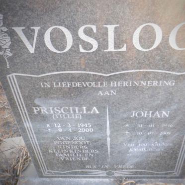 VOSLOO Johan 1946-2008 &amp; Priscilla 1945-2000