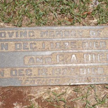 DICKS C.W. 1875-1917 :: DICKS C.A. 1922-1929