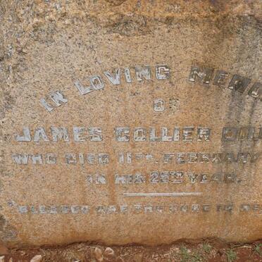 DILLON James Collier -1913