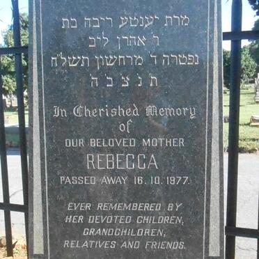 LEVINTHAL Rebecca -1977