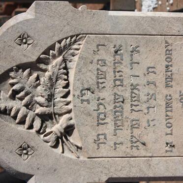 LEWIS Morris 1862-1913