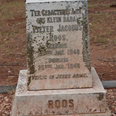 ROOS Pieter Jacobus 1948-1948