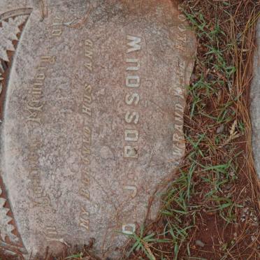 ROSSOUW D.J. -?