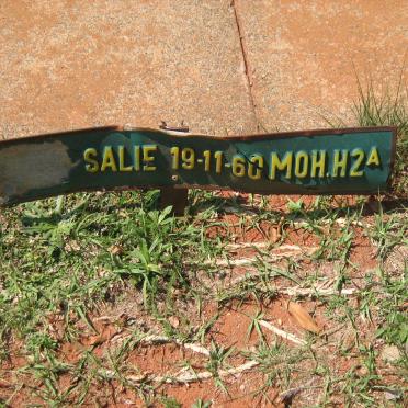 SALIE ? -1960
