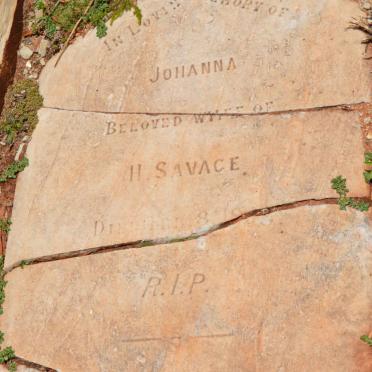 SAVAGE Johanna -1908