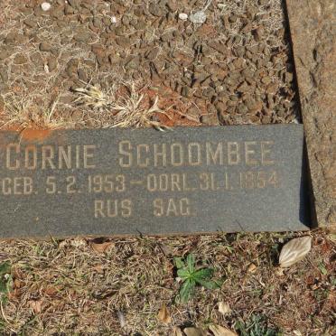 SCHOOMBEE Cornie 1953-1954