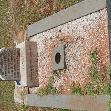 SCHWABE Carl Thomas 1908-1983 :: SCHWABE Leslie -1916