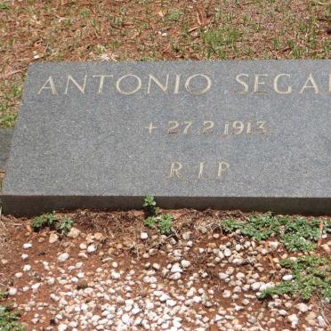 SEGALLA Antonio -1913