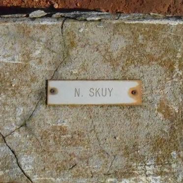 SKUY N.