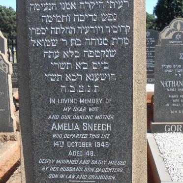 SNEECH Amelia -1949