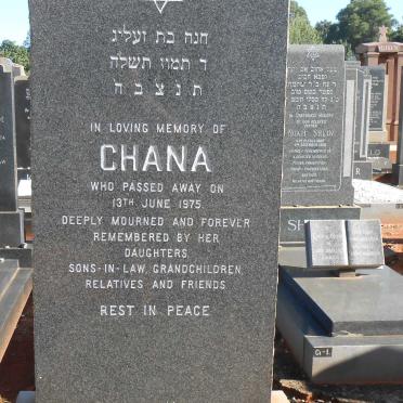 STEINBERG Chana -1975