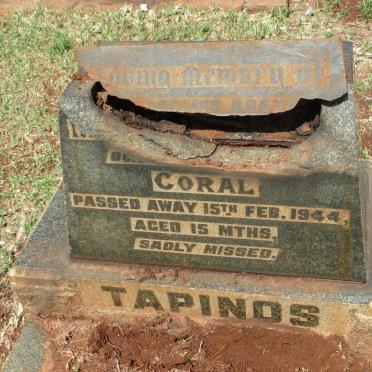 TAPINOS Coral -1944