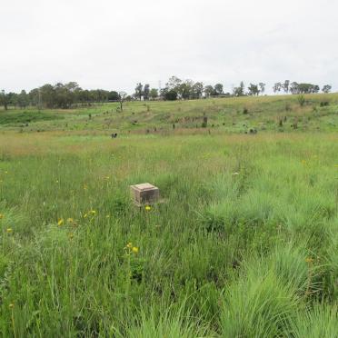 1. Overview