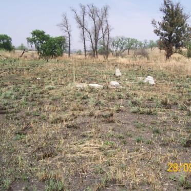 3. Overview
