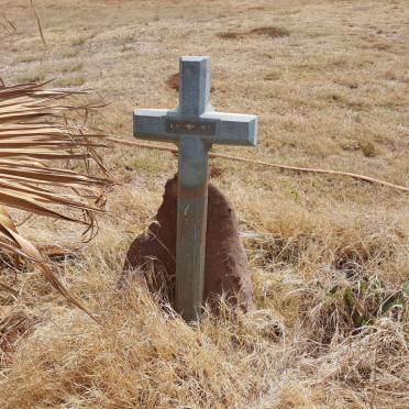 Gauteng, HEIDELBERG district, Meyerton, Daleside, Witkop 180_1, farm cemetery